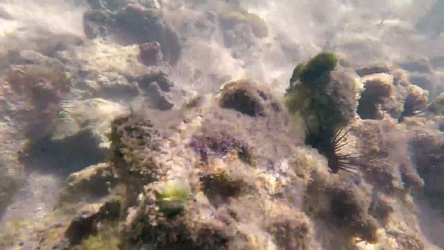 Playa Hemingway Juan Dolio смотреть онлайн