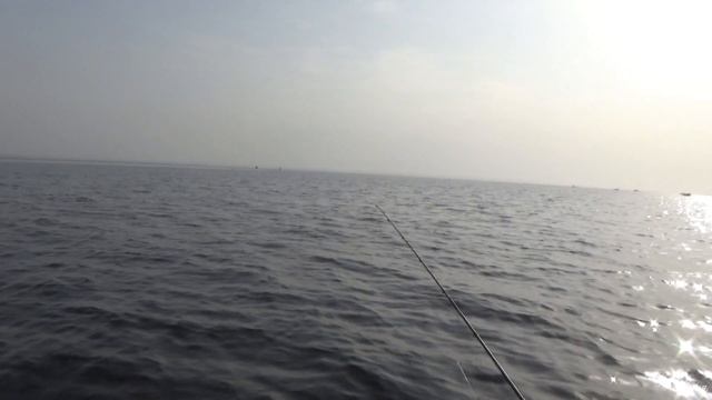 Рыбалка в Страхолесье. Судак на водохранилище. Киевское море. смотреть онлайн