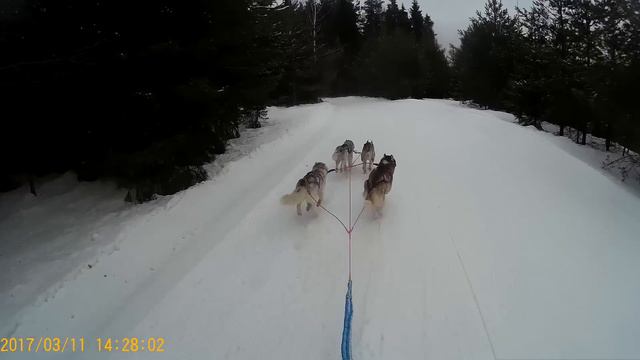 "Кольцо Фортуны" Киров 2017 смотреть онлайн