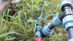 Капельный полив из ПНД трубы .