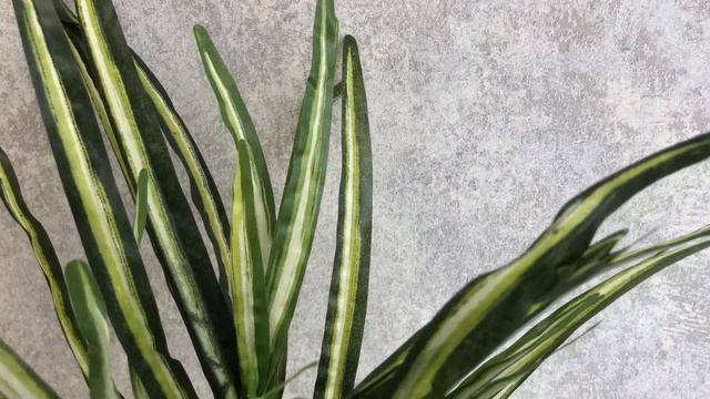 Зелень смотреть онлайн