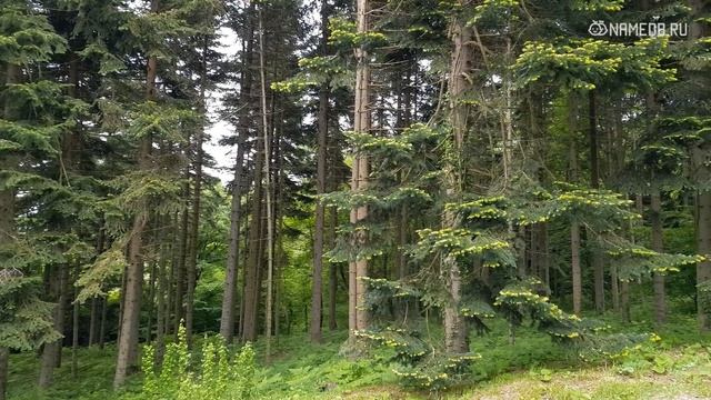 Знаки Зодиака и их борьба со стрессом…