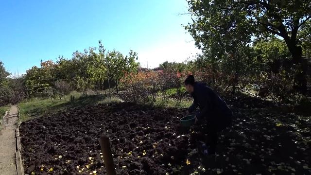 Главное чтобы было тепло... Готовимся к холодам! Порядки на даче смотреть онлайн