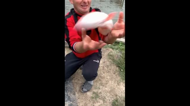 Необычные случаи на рыбалке за целый год / Приколы на рыбалке / Трофейная рыбалка смотреть онлайн