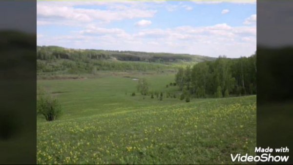 Яшьлегем тугае