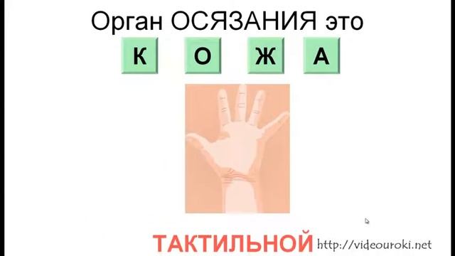 Урок 01 Информация Виды информации по каналу восприятия смотреть онлайн
