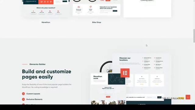 Yokoo - Bike Shop and Rental WordPress Theme bike shop travel Website Builder смотреть онлайн