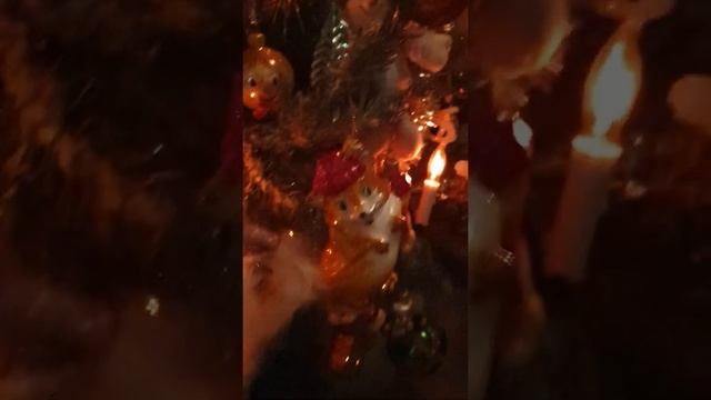 ?Сказка перед сном. Ночной Релакс❤Смотрите и Мечтайте о Самом Прекрасном!?