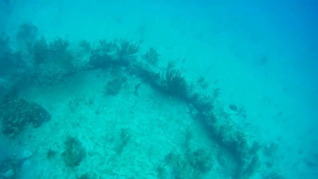 Снорклинг, кормление рыбок Куба, Варадеро 2020 / Snorkeling Cuba Varadero beach 2020 смотреть онлайн