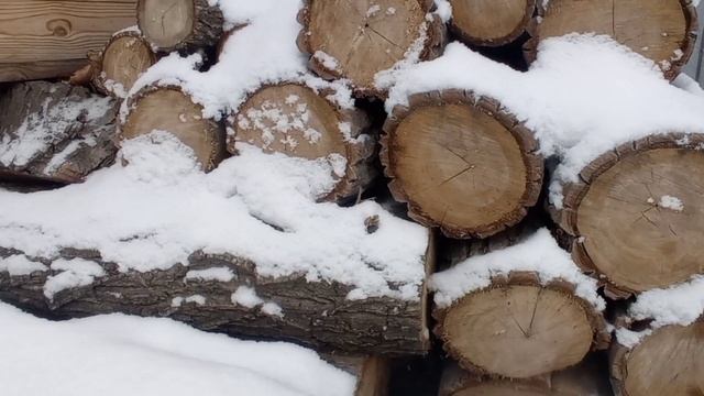 Фон для экрана бревна, снег, звуки природы. #фон #заставки #природа смотреть онлайн