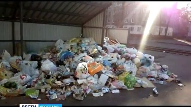 В Дзержинском районе Ярославля несколько дней не вывозят мусор смотреть онлайн