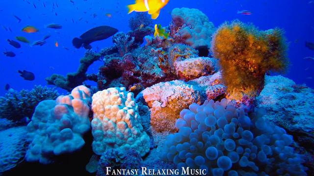 The Best 4K Aquarium - Beautiful Coral Reef Fish And Turtles With Relaxing Music For Sleep смотреть онлайн