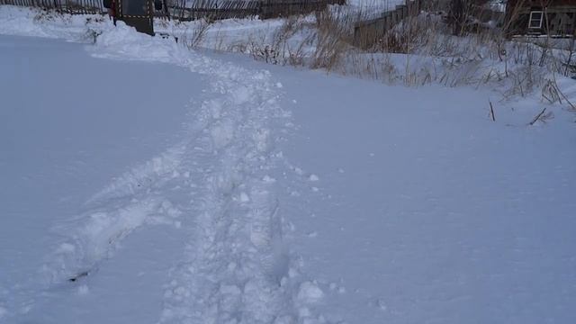 Трактор гусеничный самодельный, чистка снега экшн ? #самодельныйтрактор #самоделки #трактор смотреть онлайн
