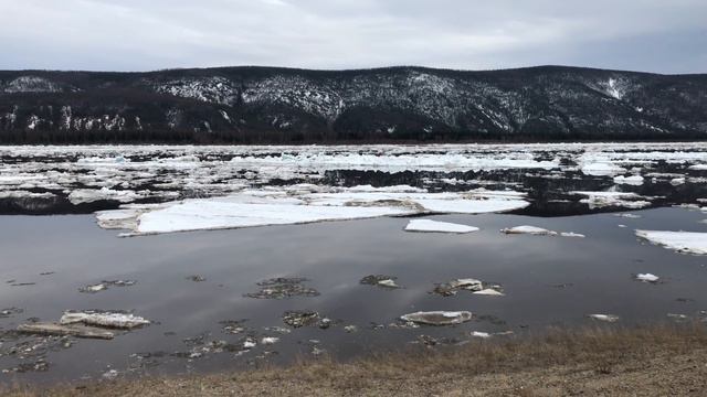 Ледоход на реке Лене. Ленск. Якутия. 7 мая 2018 года смотреть онлайн