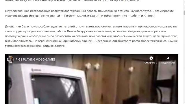 СВИНЬИ УМЕЮТ ИГРАТЬ В ВИДЕОИГРЫ. Как им это удается? смотреть онлайн