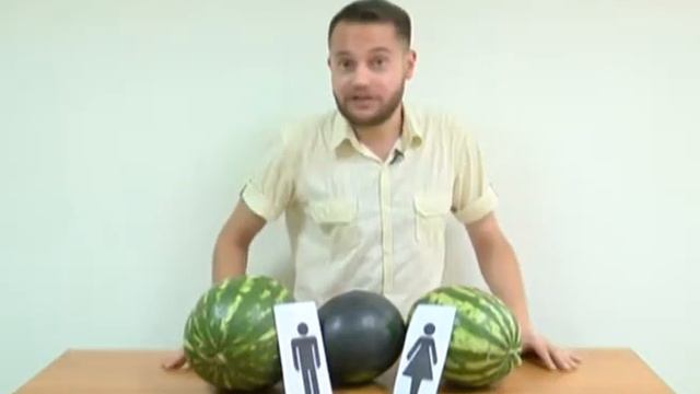 Сохраняйте чек 24.08.2014 смотреть онлайн