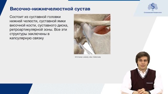 Постуральные нарушения. Взаимосвязь между патологическими изменениями ВНЧС, окклюзии и осанки.