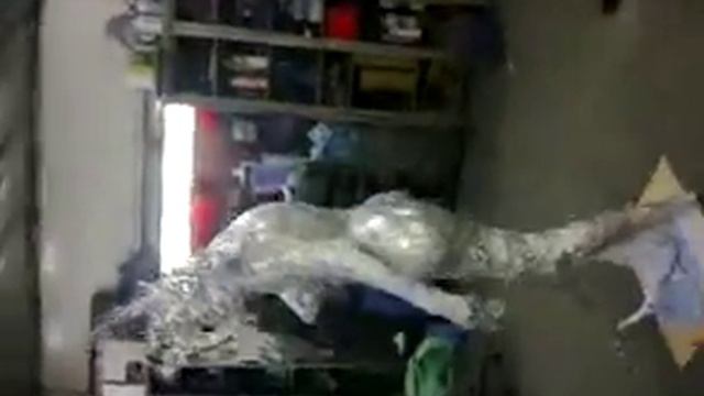 Человек олень смотреть онлайн