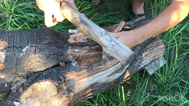 Делаю СТОЛ из корня сливы и ствола акации.(2) смотреть онлайн