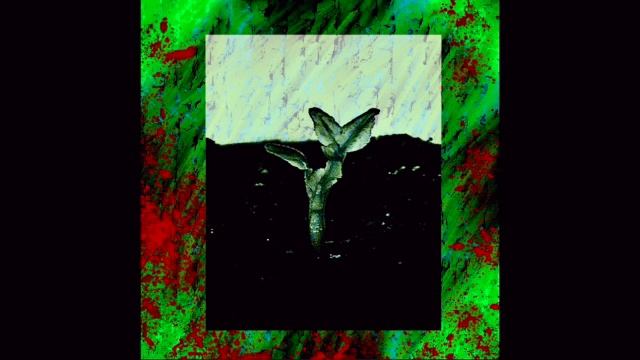 The Best Suffering - Мрак