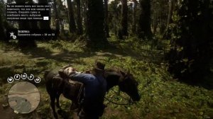 Red Dead Redemption 2 Перья колпицы и цапли