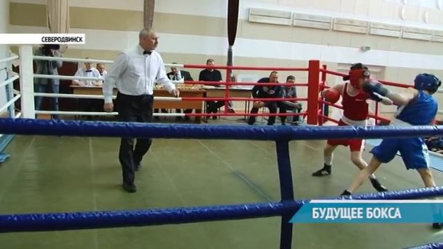 БУДУЩЕЕ БОКСА смотреть онлайн