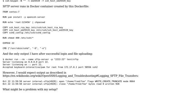 Logging SFTP File Transfers in Docker container смотреть онлайн