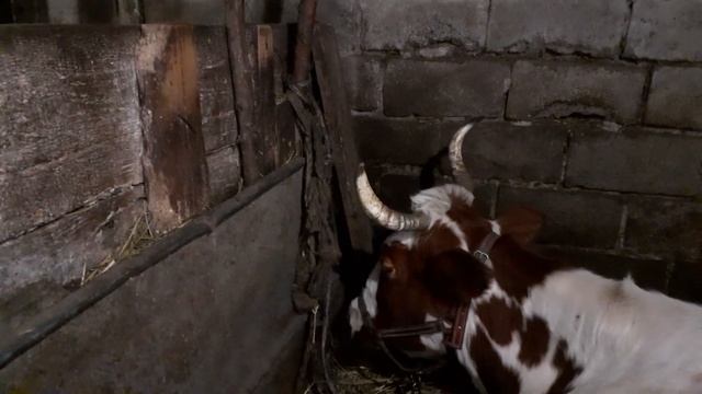 Дом и Мебель