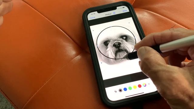 How to add a circle to a photo in iPhone Photos app смотреть онлайн
