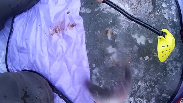 палатку сносит......сильный ветер смотреть онлайн