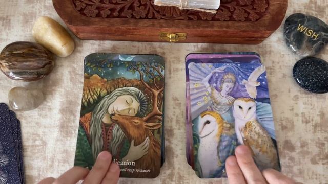 A Side-by-Side Comparison of The Goddess Dream And The Goddess Love Oracle Decks by Wendy Andrew смотреть онлайн