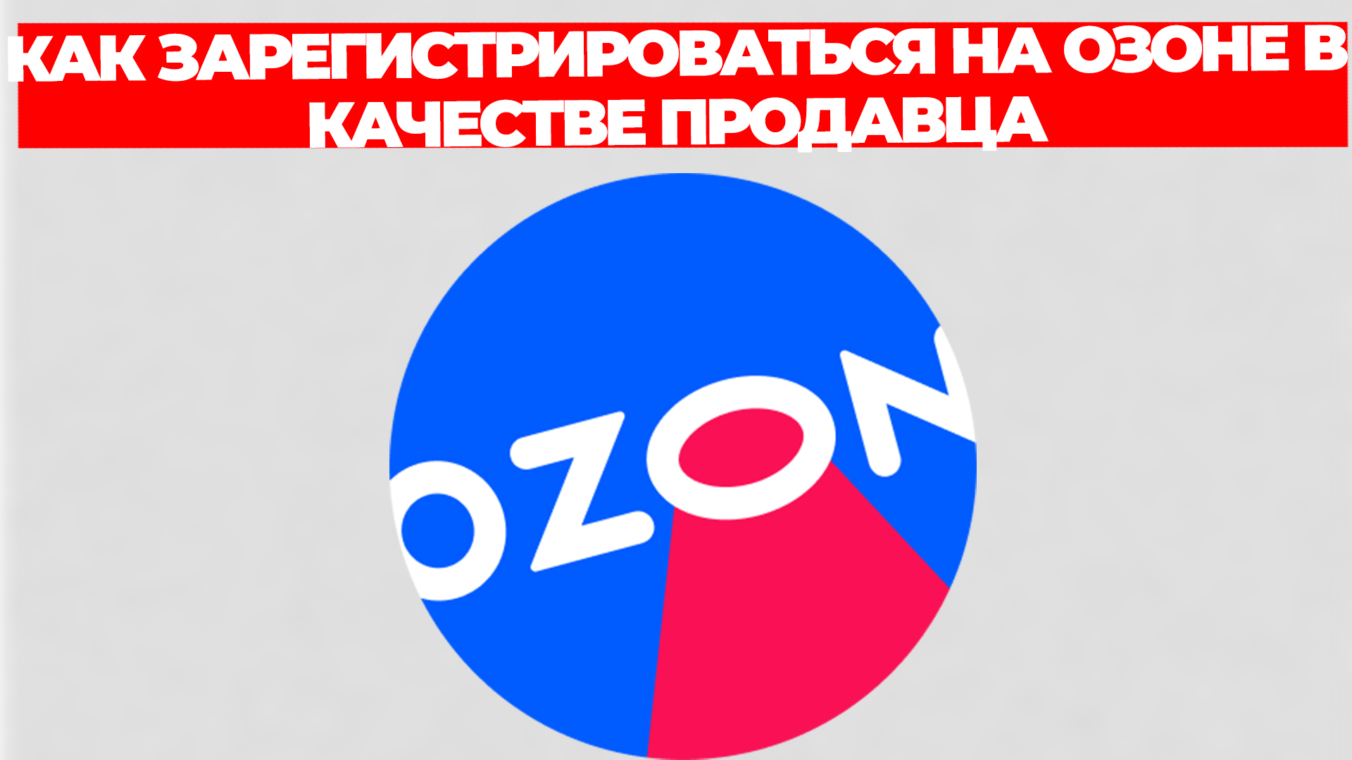 Всезнающий Енот