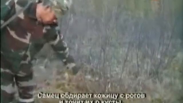 Рыбалка в якутии видео смотреть