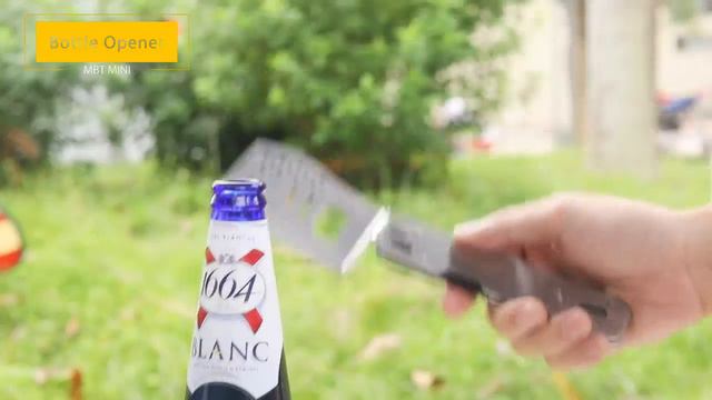 Набор для барбекю ROXON S602