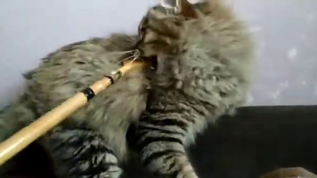 почешите мне спинку смотреть онлайн