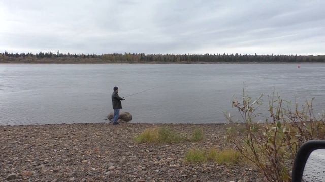 Такую снасть на хариуса вы еще не видели / Что лучше сплетня или бомбарда / Хариус на мушки