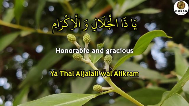 By Reading This Strong Dua, Your Troubles Will End And You Will Get Rid Of Your Debts! - (InshAllah