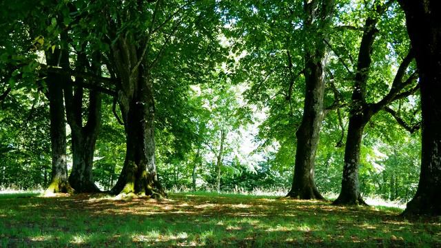 Марина Соколова/Обзор влога. смотреть онлайн