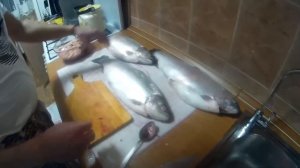 Как определить форель с ИКРОЙ 100%