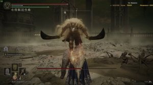 Elden Ring простой способ победы над боссом из Shadow of the Erdtree Будущий консорт Радан