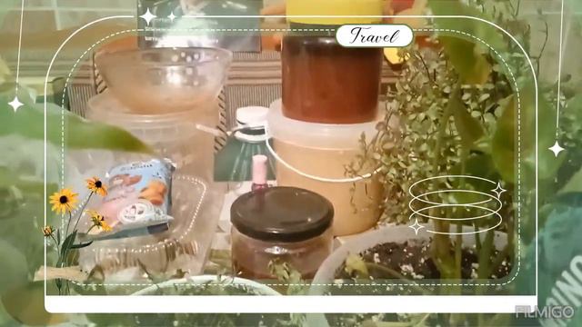 мои новинки комнатных растений,по чень выгодной цене по распродаже.... смотреть онлайн