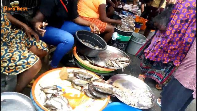 LARGEST SEAFOOD MARKET IN PORT HARCOURT NIGERIA : THE MOST POPULAR FRESH FISH MARKET смотреть онлайн
