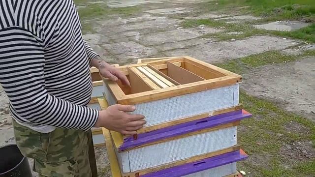 готовим нуклеусы к заселению