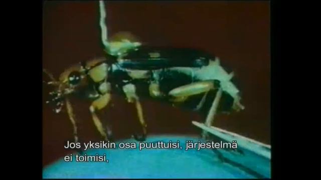 Luomisen totuus osa1 (Harun Yahya) смотреть онлайн