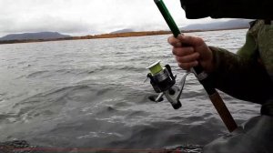 Троллинг с планерами (корабликами). Первое знакомство.