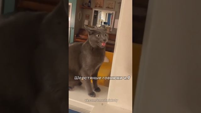 Шерстяные говнюки ч.9 смотреть онлайн