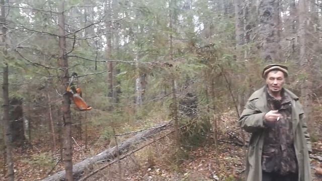 Мой поход в тайгу 1.12