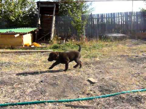 P1520914.MOV смотреть онлайн