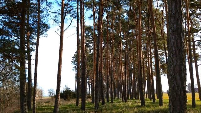 Рыбалка и дача. Пасхальные каникулы Ч.2 смотреть онлайн