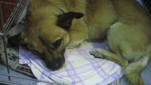 Изображение 422 смотреть онлайн